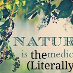 Living Environment may increase your chances of reaching a long life says study