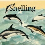 Learning by Group: How Dolphins learn Important Skills from Peers