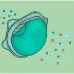 Scientist Develops A Reusable and more Effective alternative to N-95 Mask