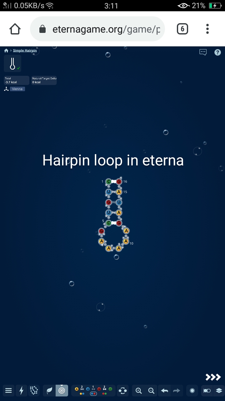 Hairpin loop in eterna